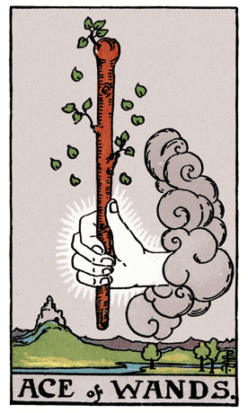 Ace of Wands