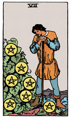 Seven of Pentacles